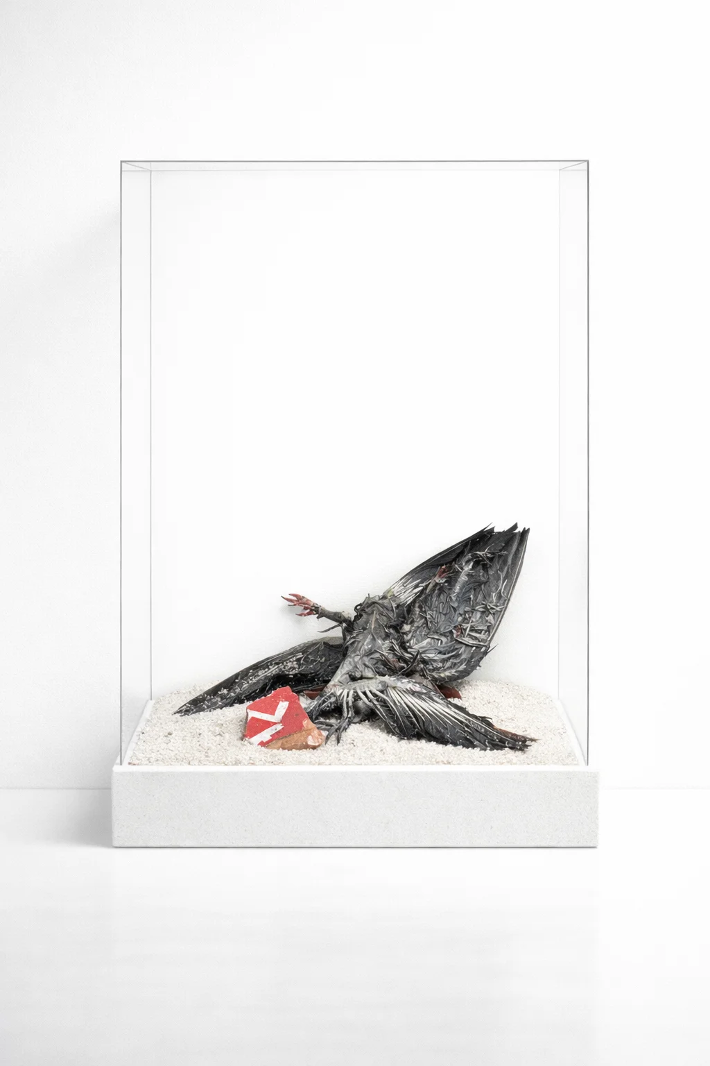 Pigeon with Red Tile Fragment — Still Warm